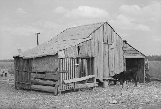 Farming and Hauling in Graafschap